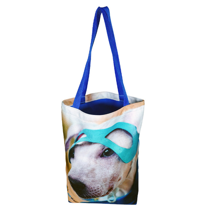 Medium Colorful Liner Tote