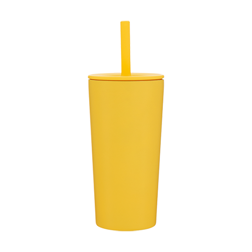 20 oz Parade Stainless Steel Tumbler
