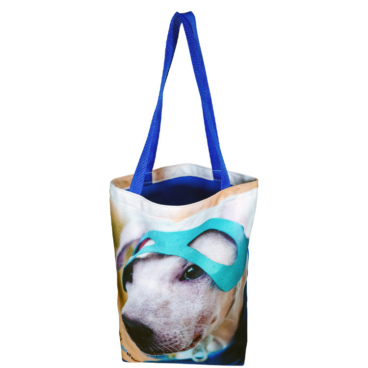 Medium Colorful Liner Tote